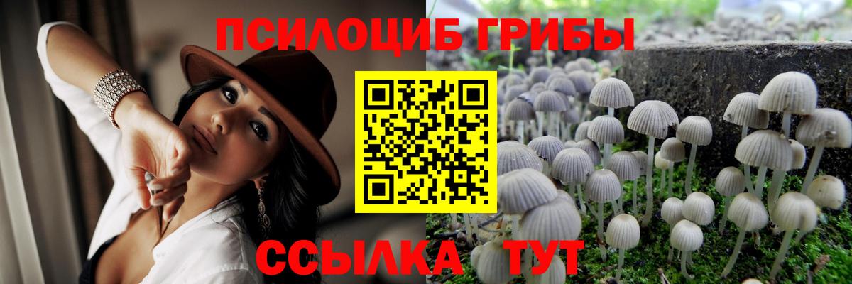 Галлюциногенные грибы ЛСД  Псилоцибиновые грибы мицелий  Вход с VPN  Псков 